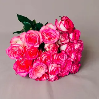 ერთი ცალი ვარდისფერი ვარდი