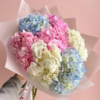 ჰორტენზიების მიქსი