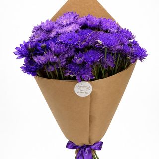 იისფერი ქრიზანთემა
