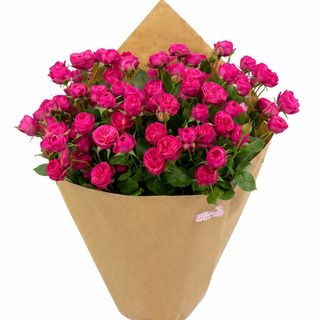 ვარდისფერი სპრეის თაიგული
