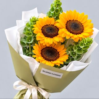 3 მზესუმზირა და 3 მოლუცელა 3 Sunflowers & 3 Moluccella Stems