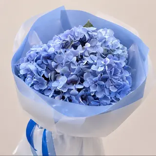 ცისფერი ჰორთენზიების თაიგული