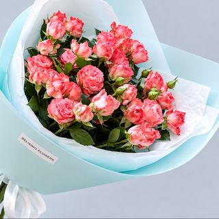 5 ტოტი ატმისფერი ჰოლანდიური სპრეი ვარდი ცისფერ შეფუთვაში 5 Peach Dutch Spray Rose Stems in Blue Wrapping