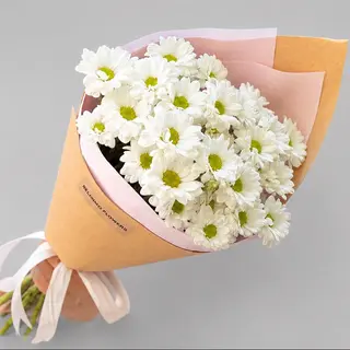 ჰოლანდიური თეთრი გვირილების თაიგული Dutch White Daisy Bouquet