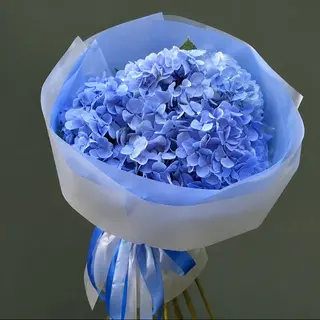 ლურჯი ჰორთენზიები (Blue Hydrangeas)