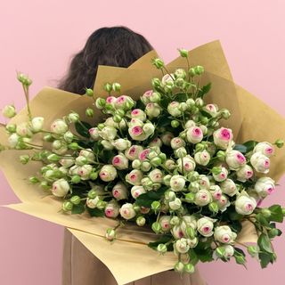 Ivory Blush
