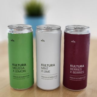 Kombucha, limenka 330 ml