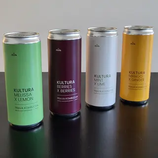 Kombucha, limenka 330 ml