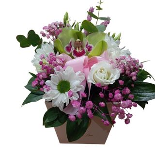 MINI BOX SA ORHIDEJOM