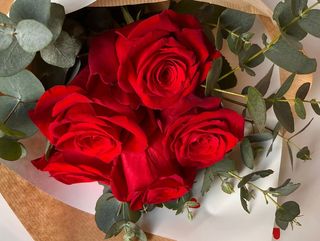 Buket 5 crvenih ruža