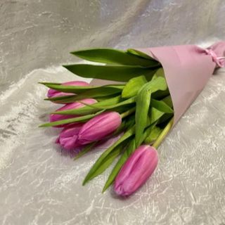 5 tulipana u ukrasnom papiru