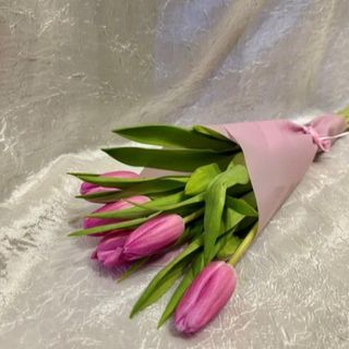 15 tulipana u ukrasnom papiru