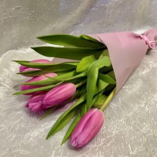 7 tulipana u ukrasnom papiru