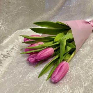 11 prvoklasnih tulipana 