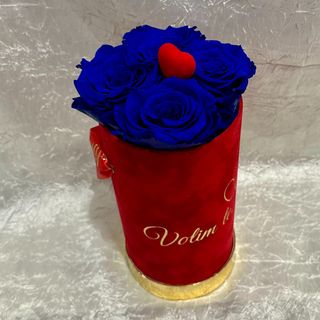 Plave dugotrajne ruže fb