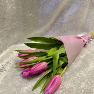 9 tulipana u ukrasnom papiru