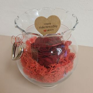 Dehidrirana ruža Valentinovo