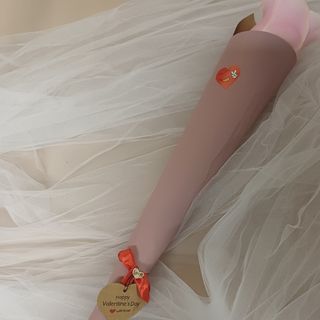 Ruža puder roza Valentinovo