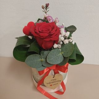 Flowerbox  mini sa  ružom crvenom