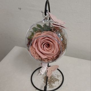 Dehidrirana puder roza ruža u kuglici na stalku 