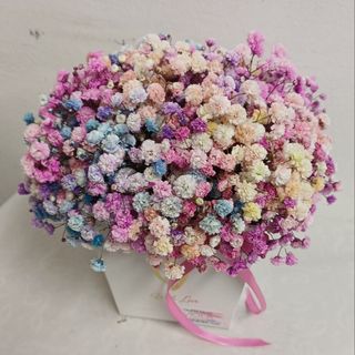 Šarena gipsofila u mini flowerboxu