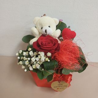 Medo sa crvenom ružom u mini boxu Valentimovo