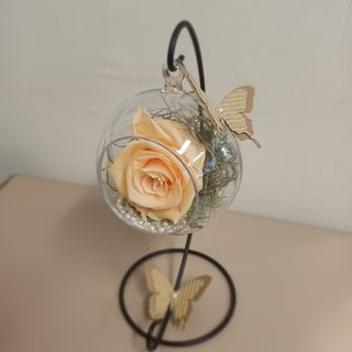 Dehidrirana breskva ruža u kuglici na stalku