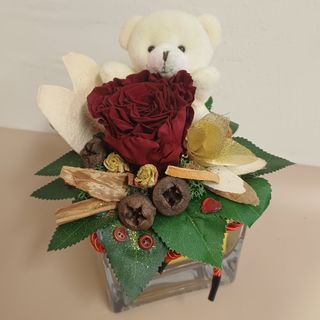 Dehidrirana crvena ruža + medo u staklenoj kocki