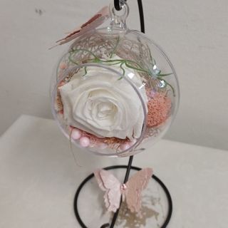 3 Dehidrirane crvene ruže u boxu sa zbonom