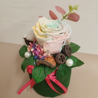 Dehidrirana šarena ruža u ukrasnoj posudi