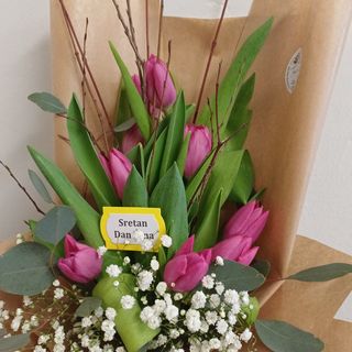 Buket 9 tulipana crvenoj