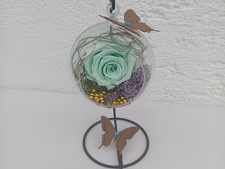 Dehidrirana mint ruža u kuglici na stalku