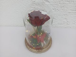 Dehidrirana crvena ruža u zvonu