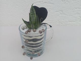 Vrtić succulent / kaktus 7