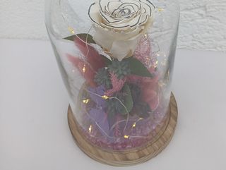 Dehidrirana bež ruža sa iscrtanim rubom u zvonu