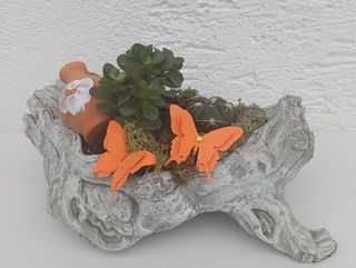 Vrtić succulent / kaktus 1