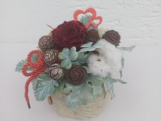 Dehidrirana crvena ruža u bijeloj kori