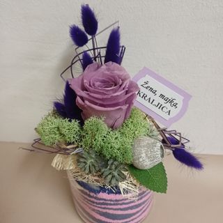 Dehodrirana ruža lila sa pijeskom u čaši