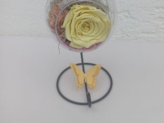 Dehidrirana limun žuta ruža u kuglici na stalku