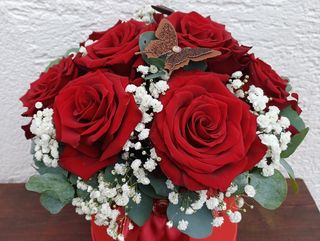 Box sa 9 crvenih ruža i gipsofilom