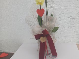 Orhideja u tegli žuta