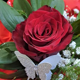 Buket sa jednom crvenom ružom