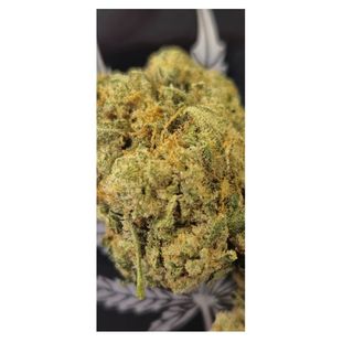 CBD Cvijet Purple Berry, 10g