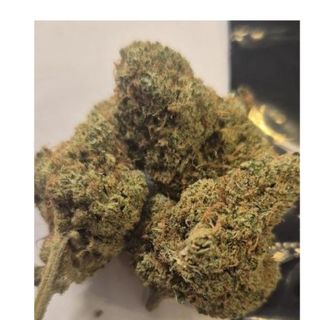 CBD Cvijet Harlequin 2g