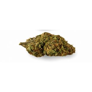 CBD Cvijet Montblanc Hydro, 5g