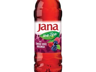 JANA ŠUMSKO VOĆE BRUSNICA