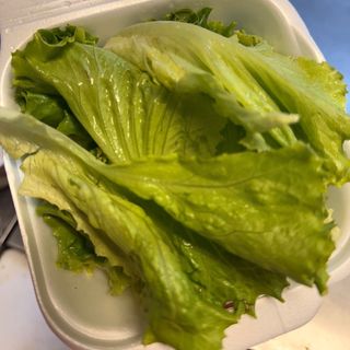 Svježa zelena salata