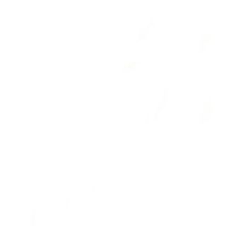 Pohana teleća šnicla