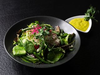 Proljetna zelena salata