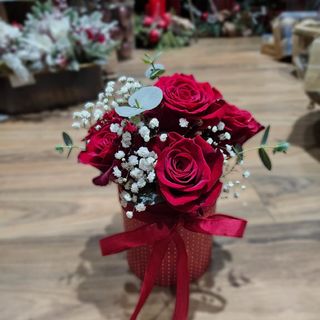 Crvene ruže flower box